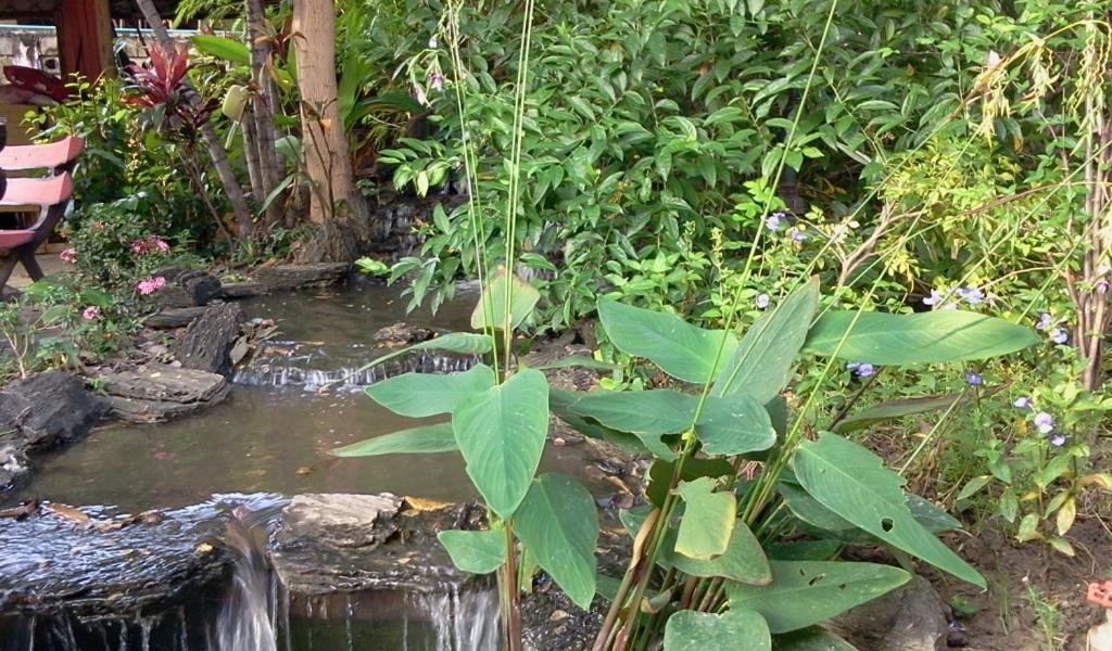 Naruncha Green House Chiang Mai Exterior photo